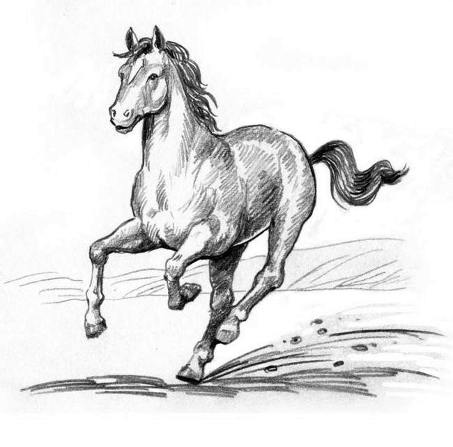 О пушистых кошечках О пушистых кошечках