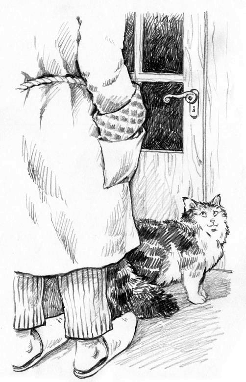 О пушистых кошечках О пушистых кошечках