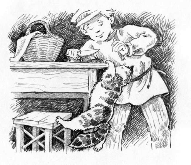 О пушистых кошечках О пушистых кошечках