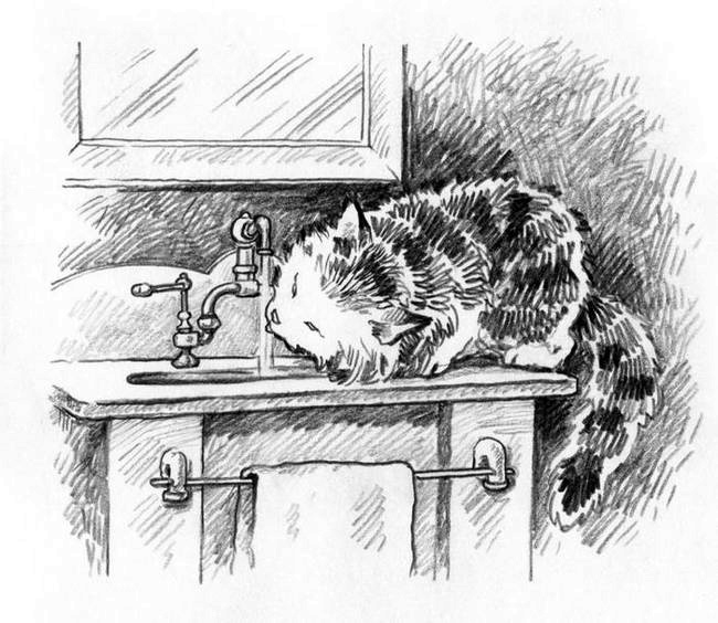 О пушистых кошечках О пушистых кошечках