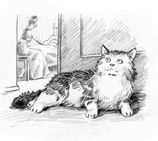 О пушистых кошечках О пушистых кошечках