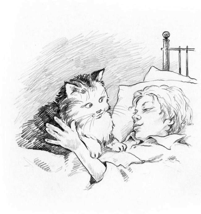 О пушистых кошечках О пушистых кошечках