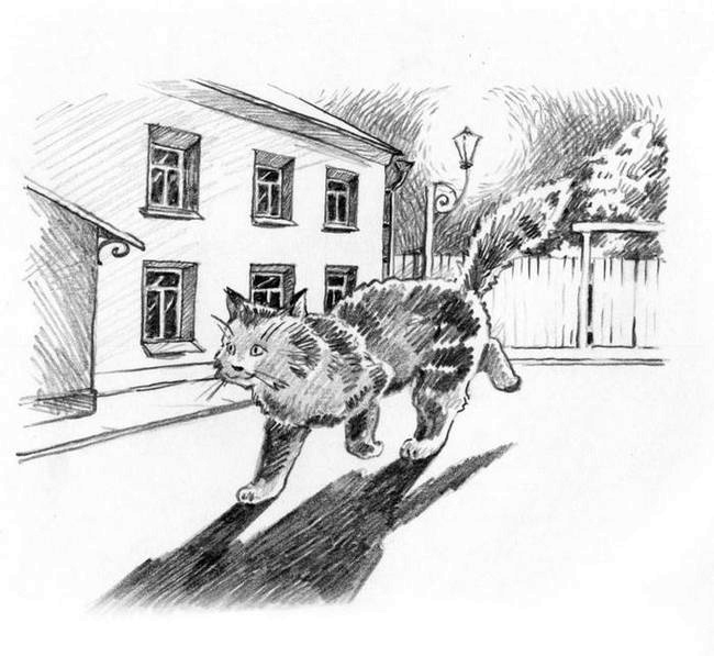 О пушистых кошечках О пушистых кошечках