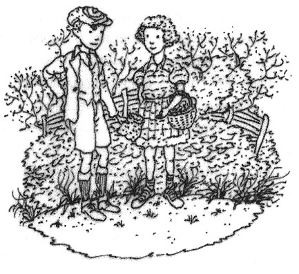 Этот Вильям! Этот Вильям!