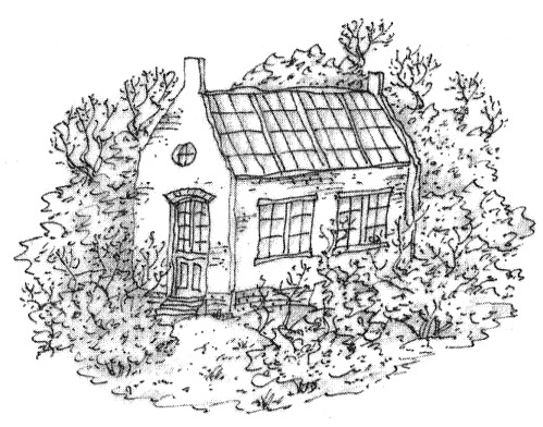 Этот Вильям! Этот Вильям!