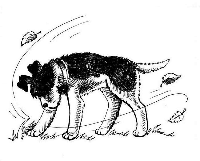 О весёлых собачках (сборник) О весёлых собачках (сборник)