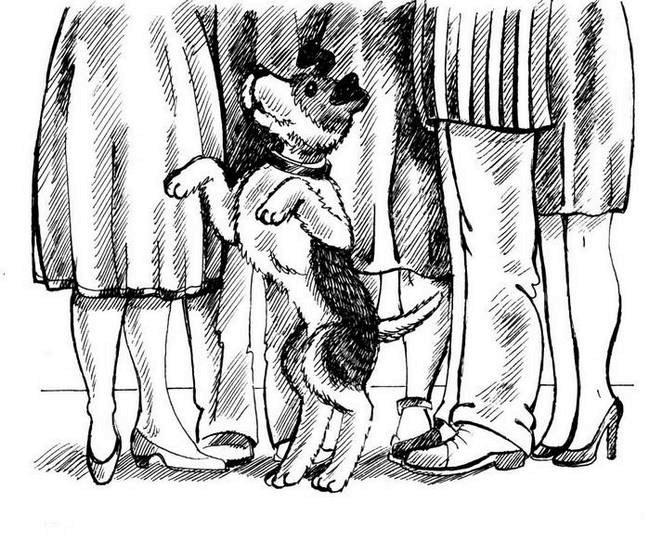 О весёлых собачках (сборник) О весёлых собачках (сборник)