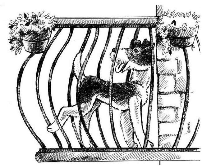 О весёлых собачках (сборник) О весёлых собачках (сборник)