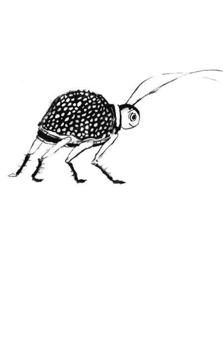 Выдуманный жучок