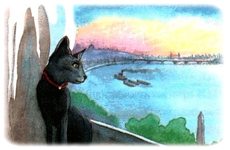 Каспар, принц котов Каспар, принц котов