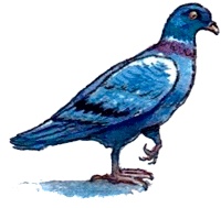 Каспар, принц котов Каспар, принц котов