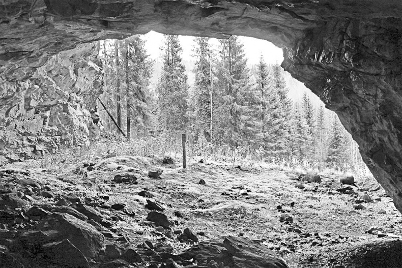 Дебри Дебри