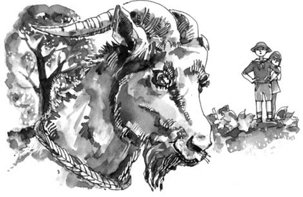 На все цвета радуги На все цвета радуги