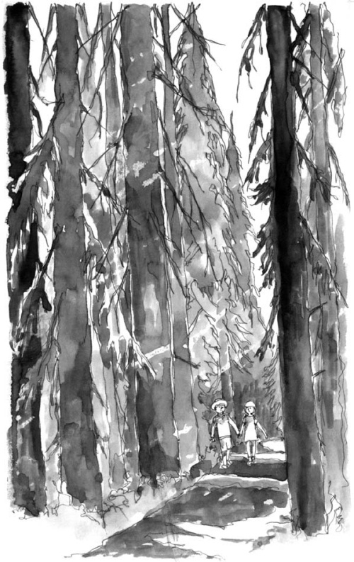 На все цвета радуги На все цвета радуги