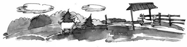 На все цвета радуги На все цвета радуги