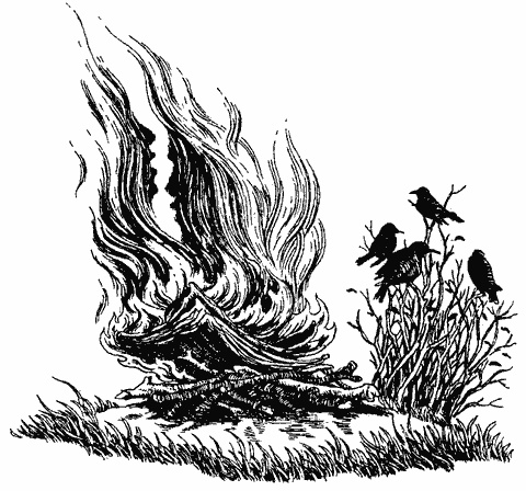 Дни поздней осени Дни поздней осени