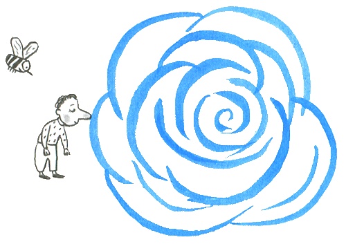 Где лежит море? Где лежит море?