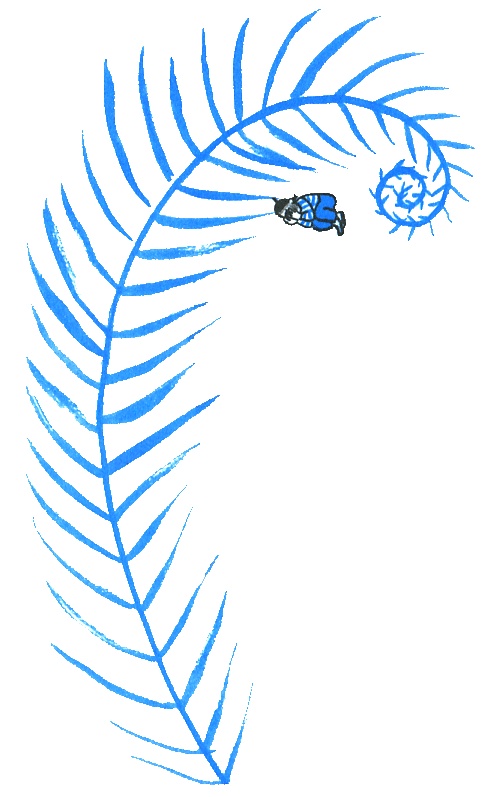 Где лежит море? Где лежит море?