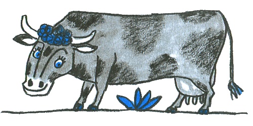 Где лежит море? Где лежит море?