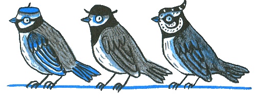 Где лежит море? Где лежит море?