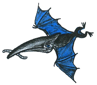 Где лежит море? Где лежит море?