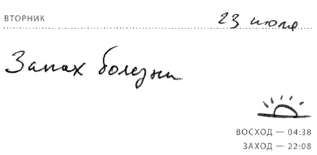 Солнце - крутой бог Солнце - крутой бог