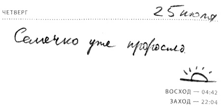 Солнце - крутой бог Солнце - крутой бог