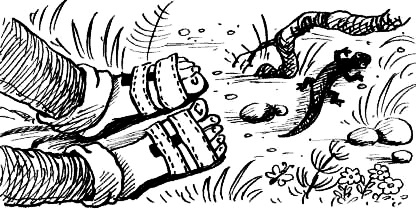 Соло на водонапорной башне Соло на водонапорной башне