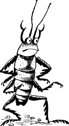 Соло на водонапорной башне Соло на водонапорной башне