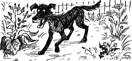 Соло на водонапорной башне Соло на водонапорной башне