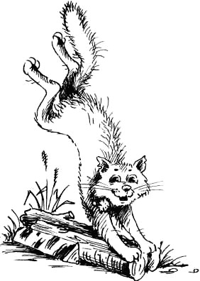 Соло на водонапорной башне Соло на водонапорной башне