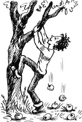 Соло на водонапорной башне Соло на водонапорной башне