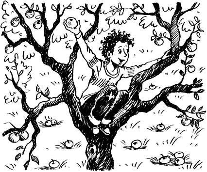 Соло на водонапорной башне Соло на водонапорной башне