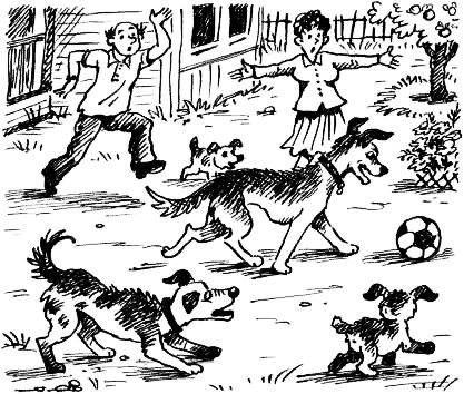 Соло на водонапорной башне Соло на водонапорной башне