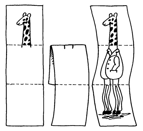 Головоломки профессора Головоломки: сборник загадок, фокусов и занимательных задач Головоломки профессора Головоломки: сборник загадок, фокусов и занимательных задач