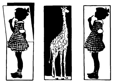 Головоломки профессора Головоломки: сборник загадок, фокусов и занимательных задач Головоломки профессора Головоломки: сборник загадок, фокусов и занимательных задач