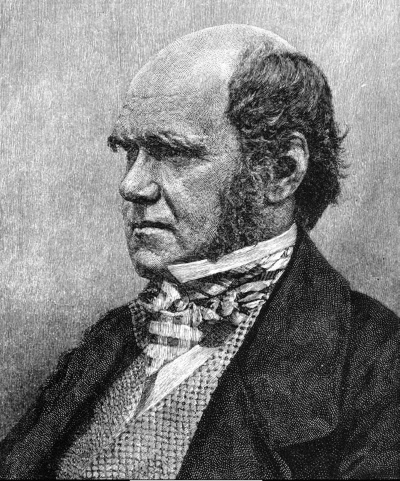 Тайны эволюции Тайны эволюции