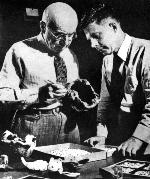 Тайны эволюции Тайны эволюции