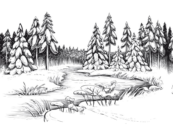 Дилемма всеядного: шокирующее исследование рациона современного человека