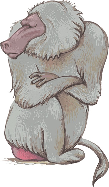 Рассказы просто так (сборник) Рассказы просто так (сборник)