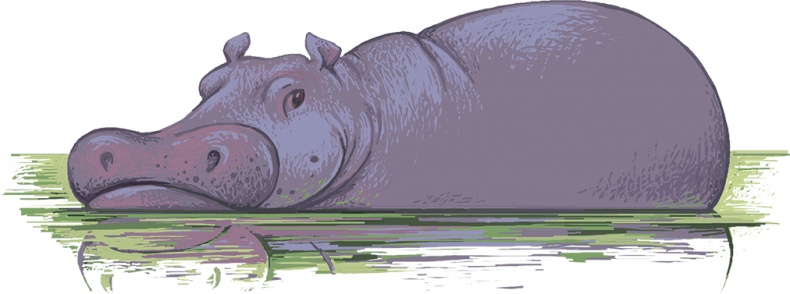 Рассказы просто так (сборник) Рассказы просто так (сборник)