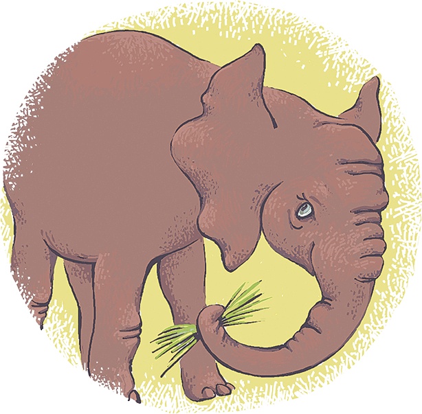 Рассказы просто так (сборник) Рассказы просто так (сборник)