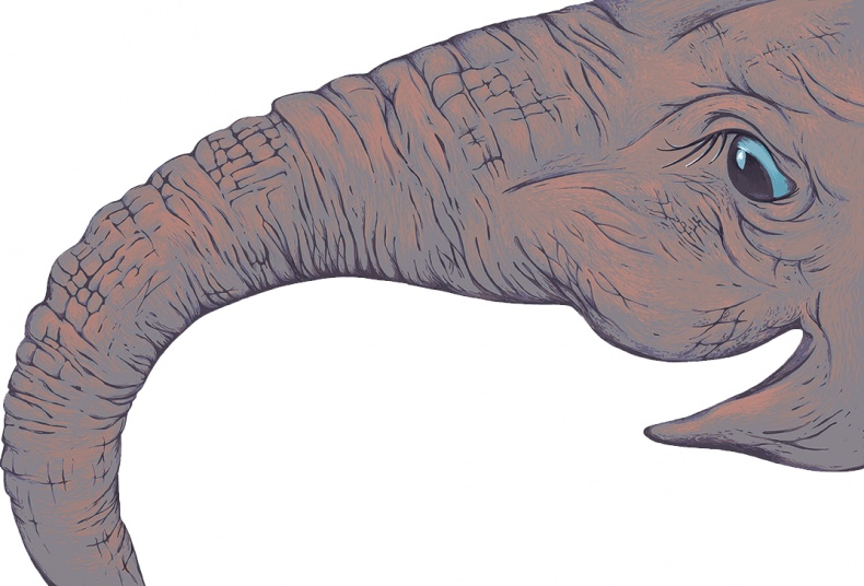 Рассказы просто так (сборник) Рассказы просто так (сборник)