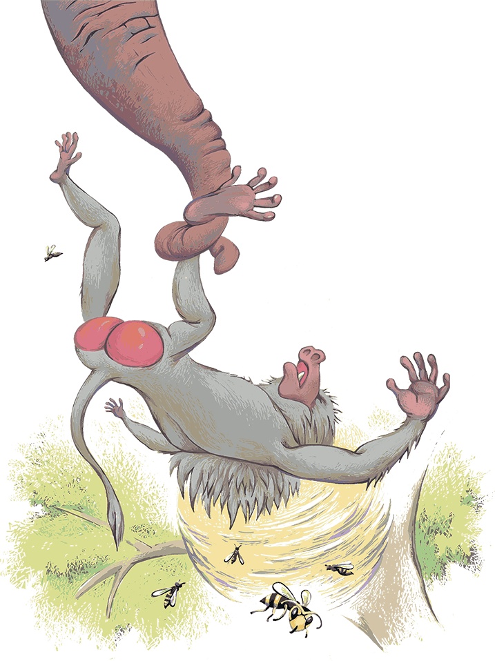 Рассказы просто так (сборник) Рассказы просто так (сборник)