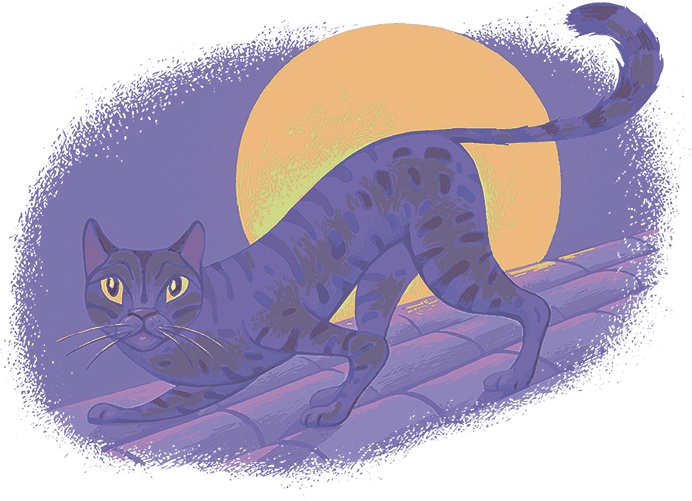 Рассказы просто так (сборник) Рассказы просто так (сборник)