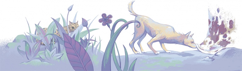 Рассказы просто так (сборник) Рассказы просто так (сборник)