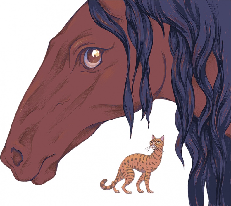 Рассказы просто так (сборник) Рассказы просто так (сборник)