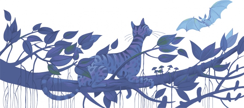 Рассказы просто так (сборник) Рассказы просто так (сборник)