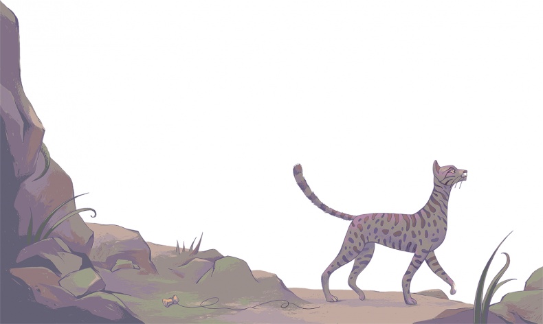 Рассказы просто так (сборник) Рассказы просто так (сборник)