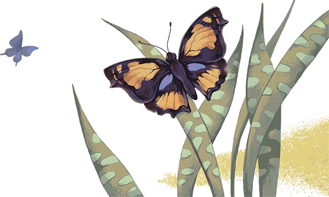 Рассказы просто так (сборник) Рассказы просто так (сборник)